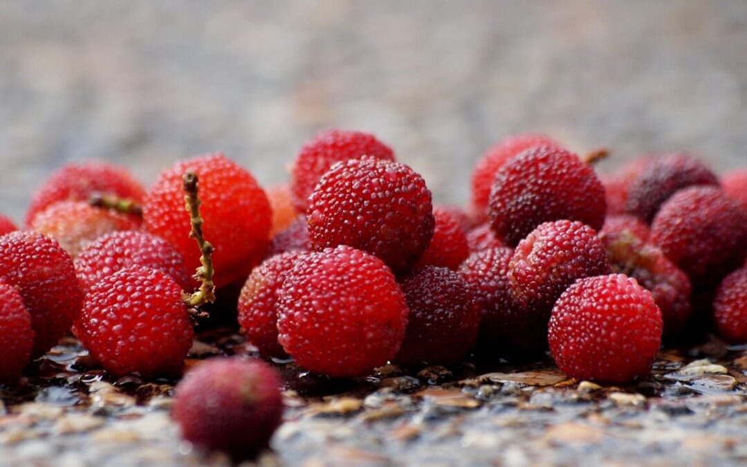 Eating for Stress Management