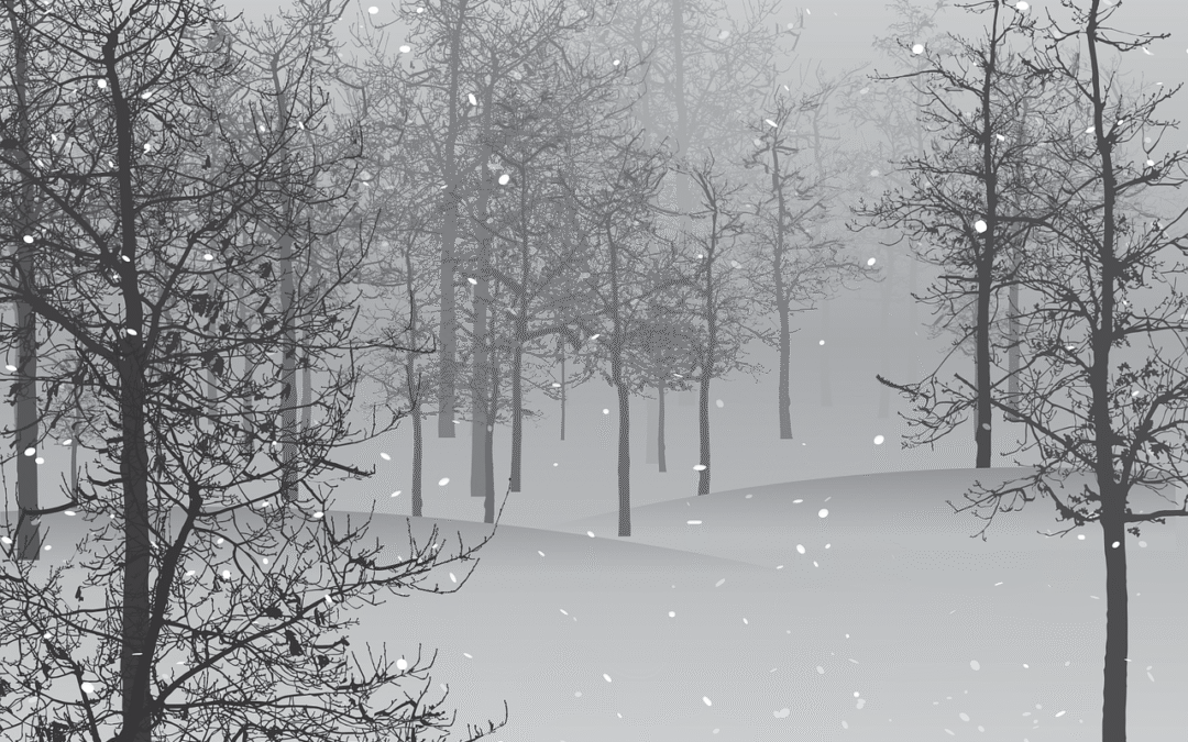 A December to Remember